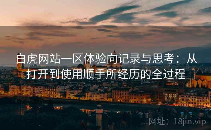 白虎网站一区体验向记录与思考：从打开到使用顺手所经历的全过程