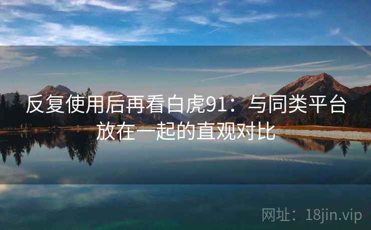 反复使用后再看白虎91：与同类平台放在一起的直观对比