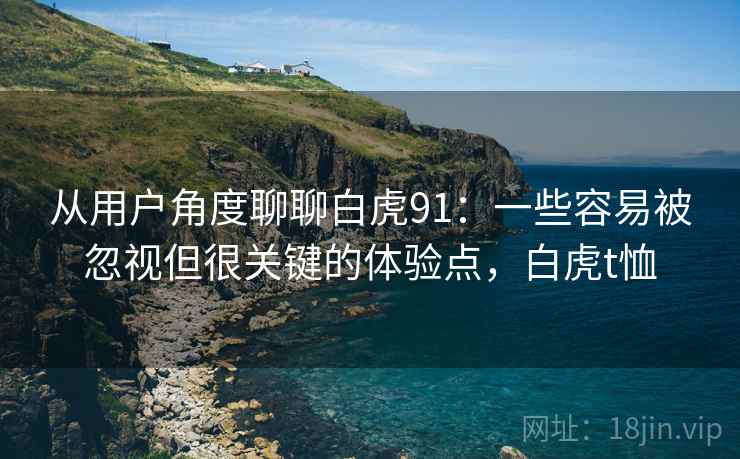 从用户角度聊聊白虎91：一些容易被忽视但很关键的体验点，白虎t恤