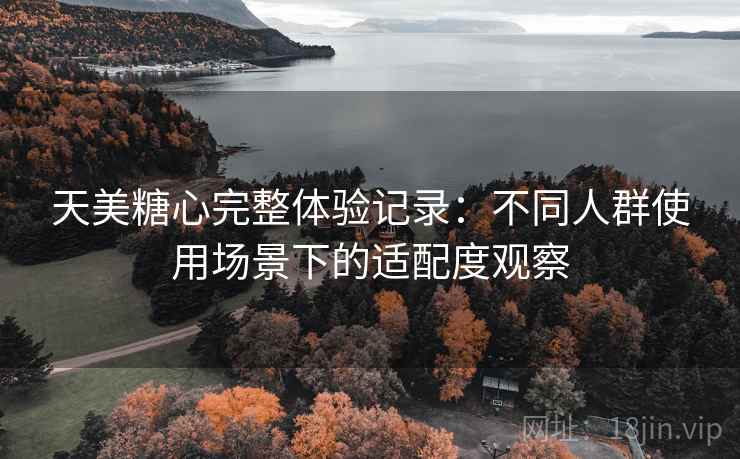 天美糖心完整体验记录：不同人群使用场景下的适配度观察