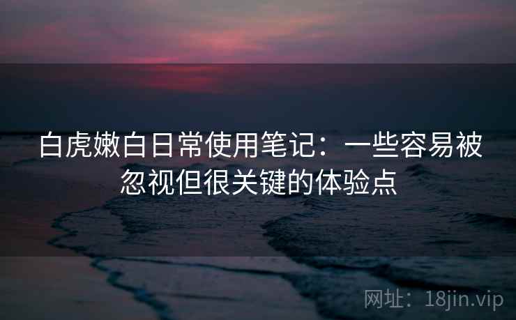 白虎嫩白日常使用笔记：一些容易被忽视但很关键的体验点