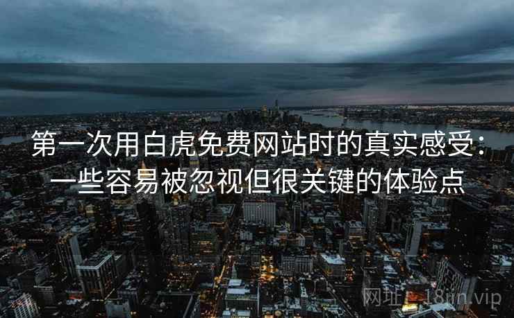 第一次用白虎免费网站时的真实感受：一些容易被忽视但很关键的体验点