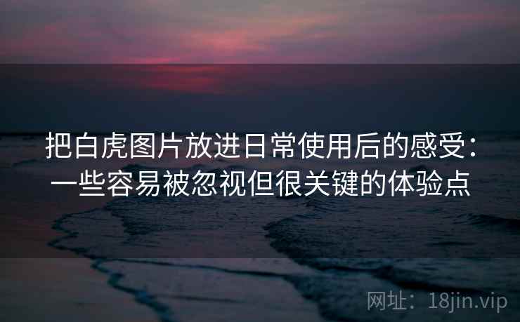 把白虎图片放进日常使用后的感受：一些容易被忽视但很关键的体验点