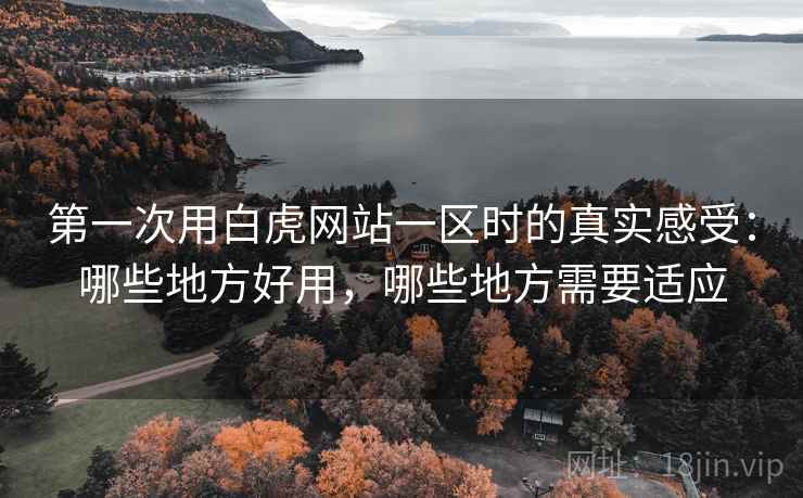 第一次用白虎网站一区时的真实感受：哪些地方好用，哪些地方需要适应