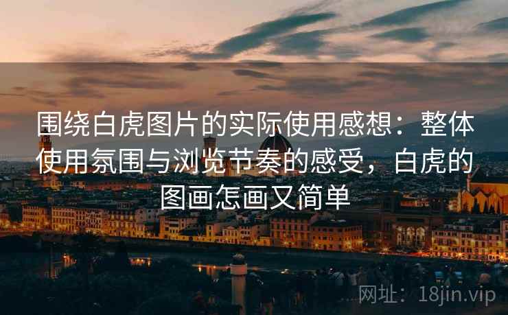 围绕白虎图片的实际使用感想：整体使用氛围与浏览节奏的感受，白虎的图画怎画又简单