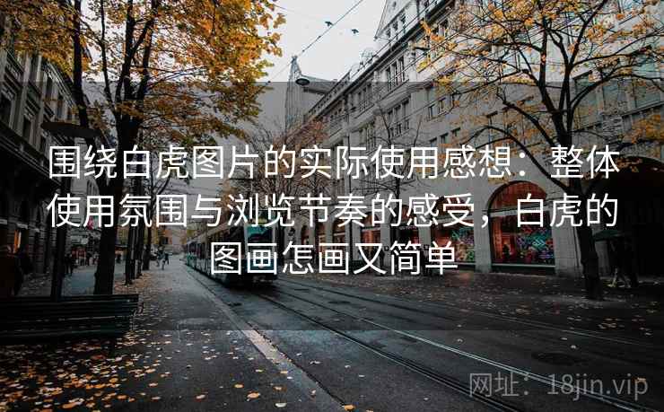 围绕白虎图片的实际使用感想：整体使用氛围与浏览节奏的感受，白虎的图画怎画又简单
