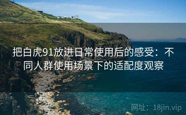 把白虎91放进日常使用后的感受:不同人群使用场景下的适配度观察 把白虎91放进日常使用后的感受:不同人群使用场景下的适配度观察
