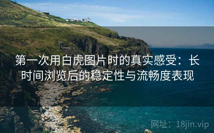 第一次用白虎图片时的真实感受：长时间浏览后的稳定性与流畅度表现