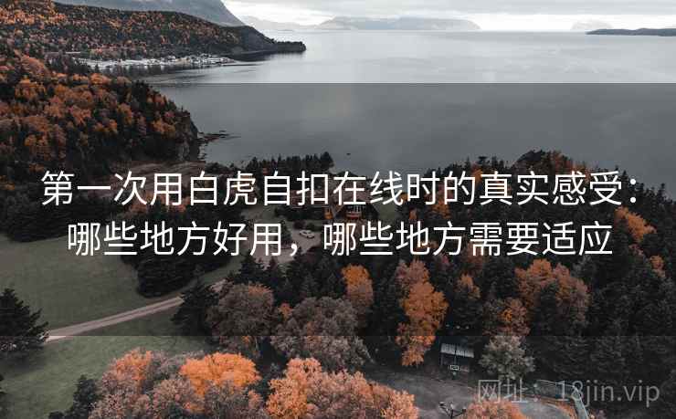 第一次用白虎自扣在线时的真实感受:哪些地方好用,哪些地方需要适应 第一次用白虎自扣在线时的真实感受:哪些地方好用,哪些地方需要适应