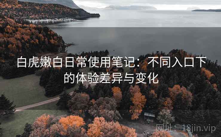 白虎嫩白日常使用笔记：不同入口下的体验差异与变化