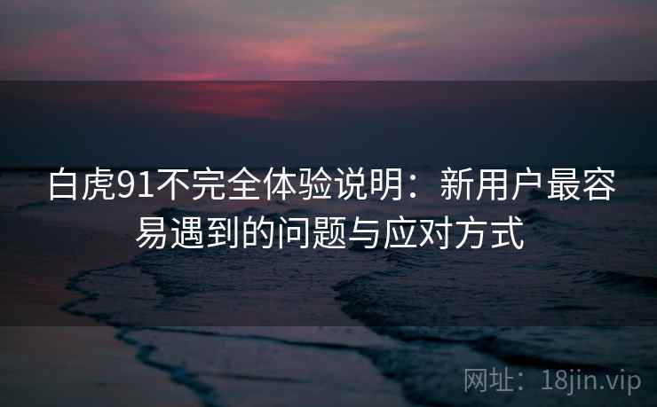 白虎91不完全体验说明：新用户最容易遇到的问题与应对方式