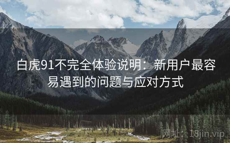 白虎91不完全体验说明:新用户最容易遇到的问题与应对方式 白虎91不完全体验说明:新用户最容易遇到的问题与应对方式