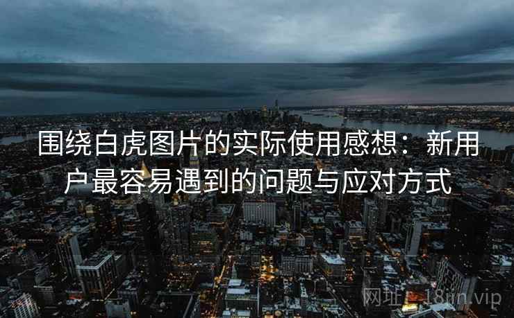 围绕白虎图片的实际使用感想：新用户最容易遇到的问题与应对方式