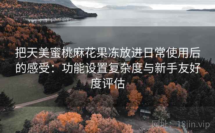 把天美蜜桃麻花果冻放进日常使用后的感受:功能设置复杂度与新手友好度评估 把天美蜜桃麻花果冻放进日常使用后的感受:功能设置复杂度与新手友好度评估
