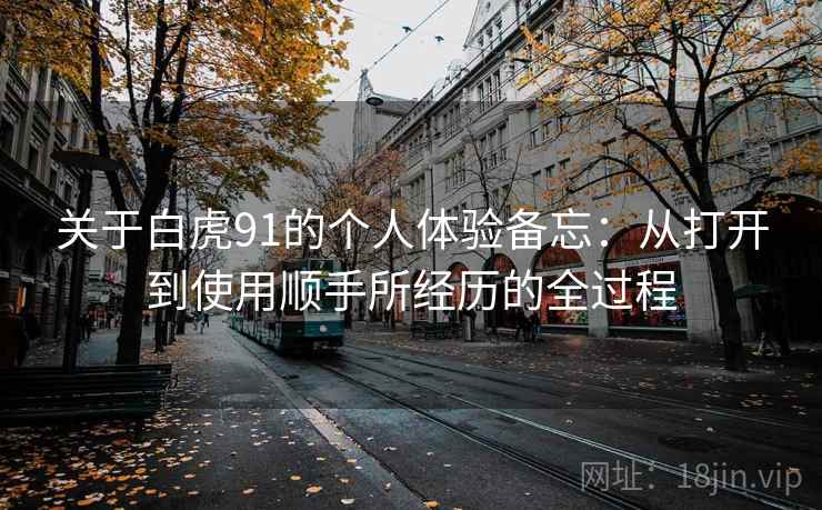 关于白虎91的个人体验备忘:从打开到使用顺手所经历的全过程 关于白虎91的个人体验备忘:从打开到使用顺手所经历的全过程